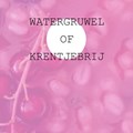 Watergruwel of Krentjebrij | Jan Timmer | 