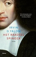Het raadsel Spinoza | Irvin D. Yalom | 