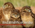 Bird Wildlife of Aruba | Gregory M. Peterson ; Annette H. Peterson-Bredie | 