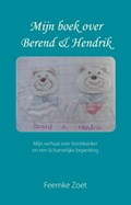 Mijn boek over Berend en Hendrik | Feemke Zoet | 