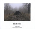 Black Holes | Julien Sunyé ; Arnon Grunberg | 