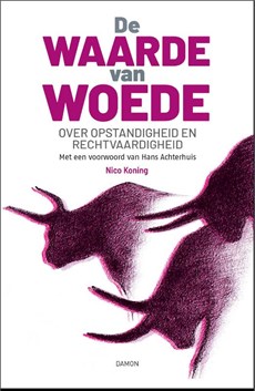 De waarde van woede