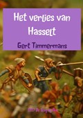 Het verlies van Hasselt | Gert Timmermans | 