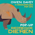 Pop-up bedreigde dieren | Owen Davey | 