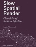 Slow Spatial Reader | Carolyn Strauss | 