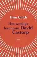 Het woelige leven van David Castorp | Hans Ulrich | 