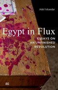 Egypt in Flux | Canada)Iskandar Adel(SimonFraserUniversity | 