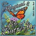The Magical and Amazing Life of a Butterfly | M Borhan | 