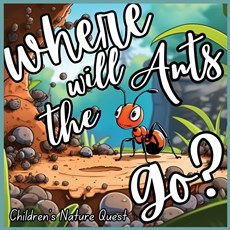 Where will the Ants Go?