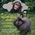 If You Feed A Bunny Bananas, Will It Become A Monkey? | Remi Dayle | 