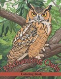 Enchanting Owls | Midnight Zen | 