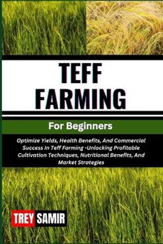 TEFF FARMING For Beginners