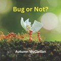 Bug or Not? | Autumn McClellan | 