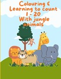 Learning to count 1 to 20 with jungle animals | E Bello | 