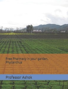 Free Pharmacy in your garden, Phyllanthus