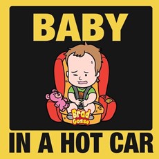 Baby in a Hot Car