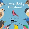 Little Baby Cardinal | Seth Neeley | 