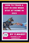 How to Train a Cat in One Week Stay at Home in 2023 | Z Massy Z Massy | 