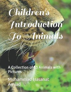 Children's Introduction To Animals