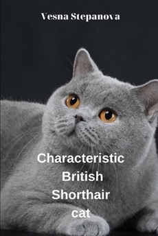 &#1057;haracteristic British Shorthair cat