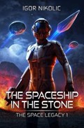 The Spaceship In The Stone | Igor Nikolic | 
