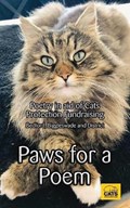 Paws for a Poem: For all misplaced cats | Cats Protection | 