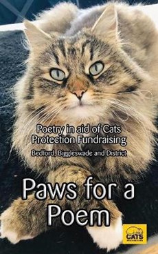 Paws for a Poem: For all misplaced cats