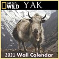 YAK Calendar 2021 | Pett Rouji | 