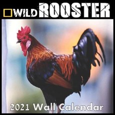 ROOSTER Calendar 2021