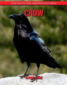 Crow: Fun Facts and Amazing Pictures