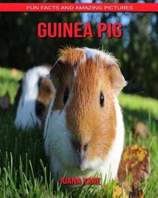 Guinea Pig: Fun Facts and Amazing Pictures
