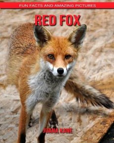 Red Fox: Fun Facts and Amazing Pictures