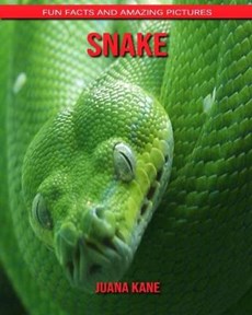 Snake: Fun Facts and Amazing Pictures