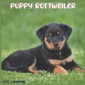 Rottweiler Puppy 2022 Calendar | Pro Calendar 2022-2023 | 