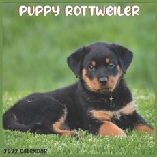 Rottweiler Puppy 2022 Calendar