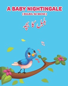 A Baby Nightingale ( Bulbul ka Bacha)