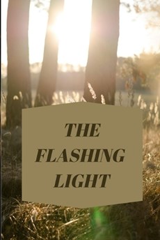 The Flashing Light