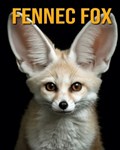 Fennec Fox | Nicole Oberski | 