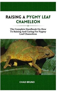 Raising a Pygmy Leaf Chameleon