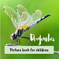Dragonflies | Magali Loana | 