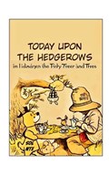 Today Upon the Hedgerows Graphic Novel | Sol Nte | 