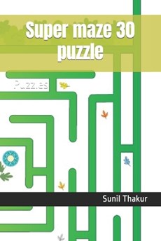 Super maze 30 puzzle