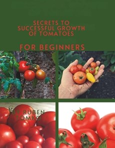 Secrets to Successful Growth of Tomatoes for beginners
