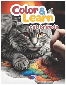 Color&Learn