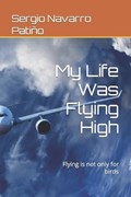 My Life Was Flying High | Sergio Navarro Pati?o | 