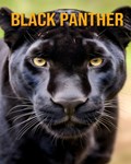 Black Panther | Antonio Richter | 