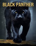 Black Panther | Victoria Orman | 
