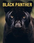 Black Panther | Debbie Ziegler | 
