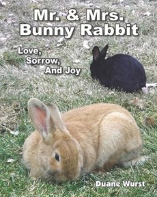 Mr. And Mrs. Bunny Rabbit