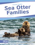 Animal Teams: Sea Otter Families | Angela Lim | 